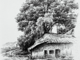 素描风景，看”与“不看”的修行！