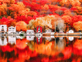 什么是色调?色调有哪些基本类别?