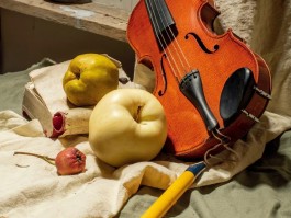 素描静物《小提琴》的作画过程
