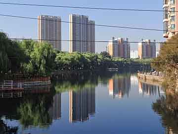 绘画摄影工作室第2周学员学习花絮